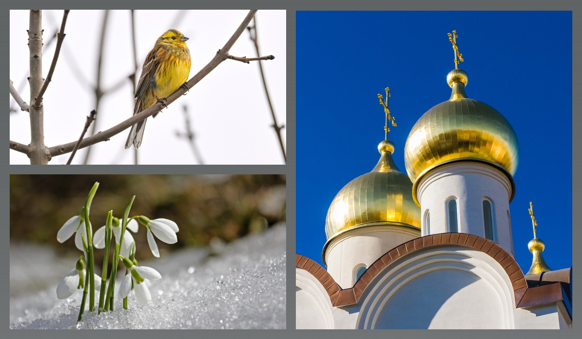 pixabay.com