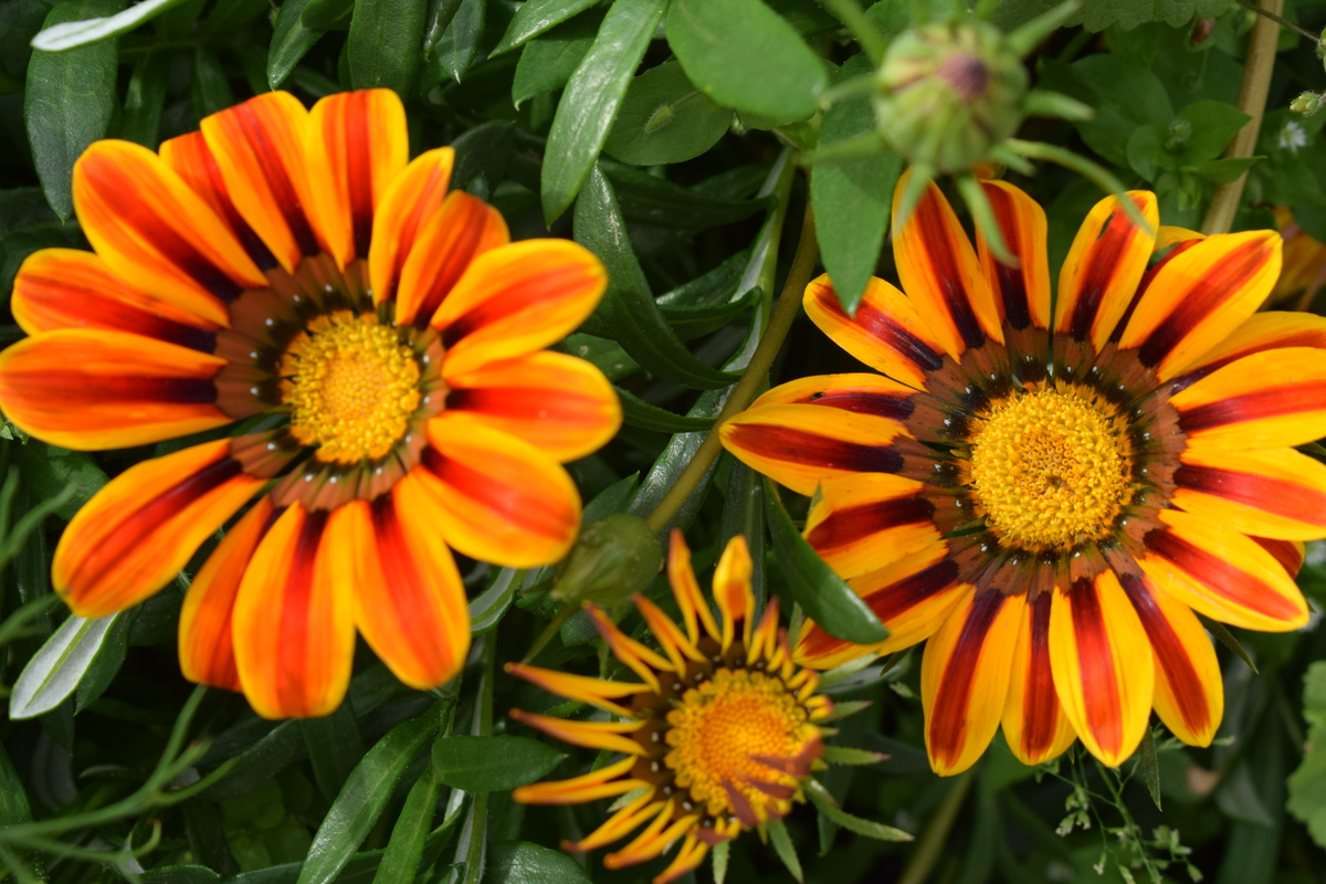 гацания летом(фото автора)