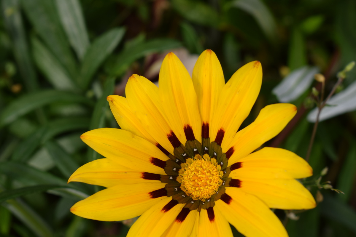 гацания летом(фото автора)