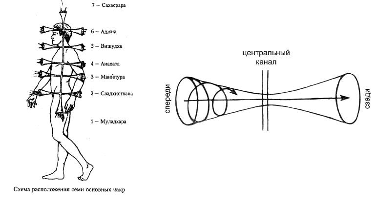 Схема строения чакр. 