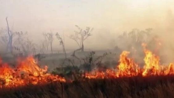    Кадр видео t.me/mchs_vdk