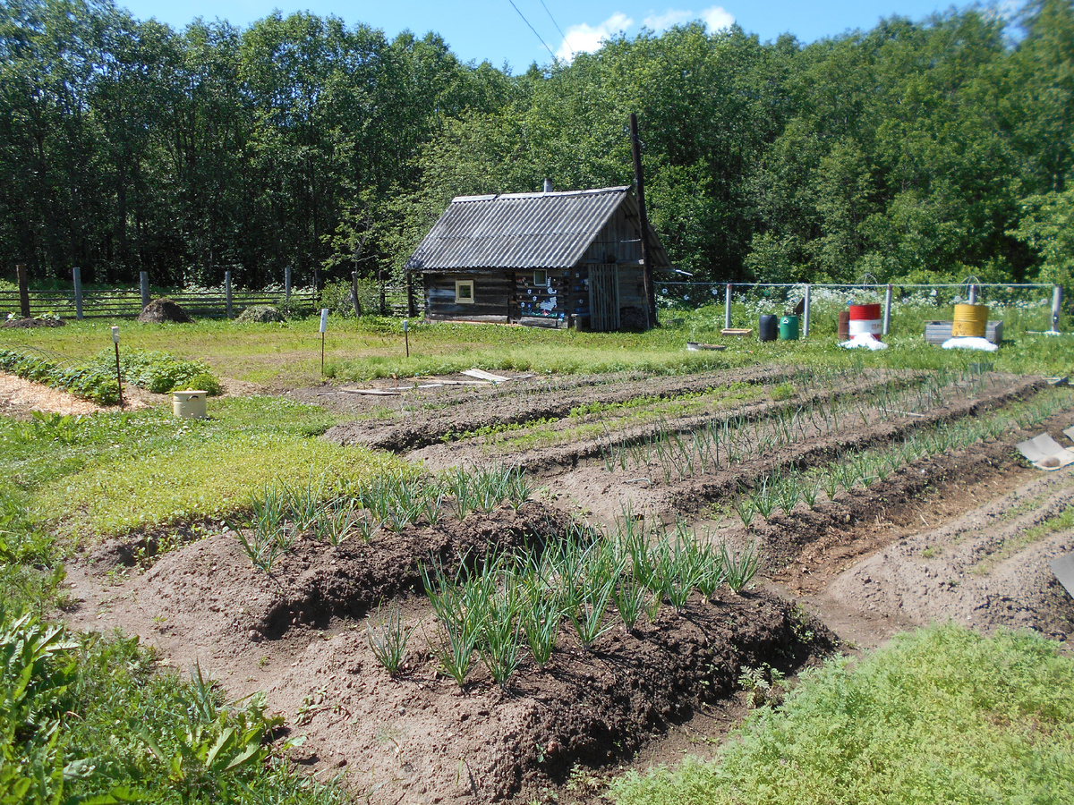 Деревенский огород