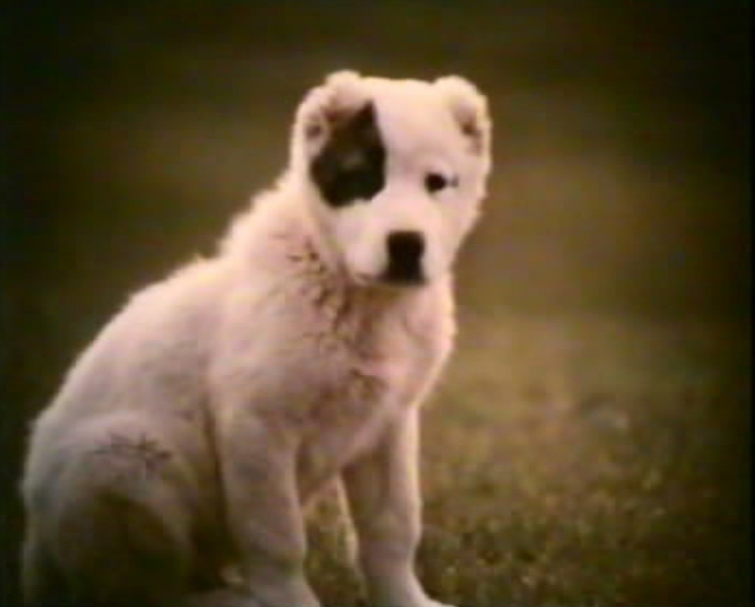 Кадр из фильма "Охламон" взят для иллюстрации из Яндекс Картинки.