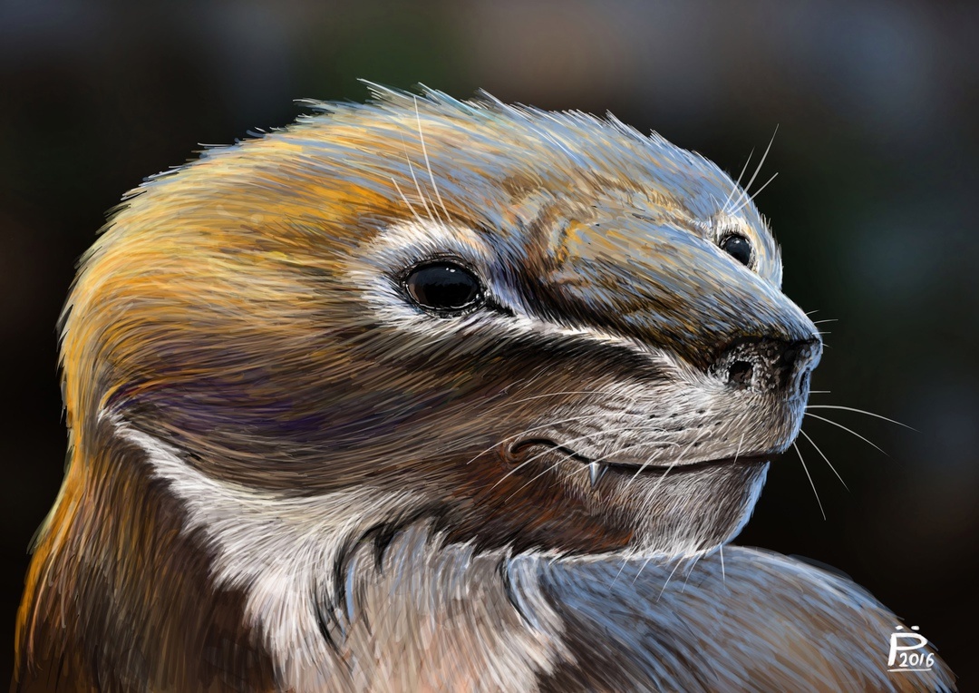 Бейшанодон. Реконструкция.