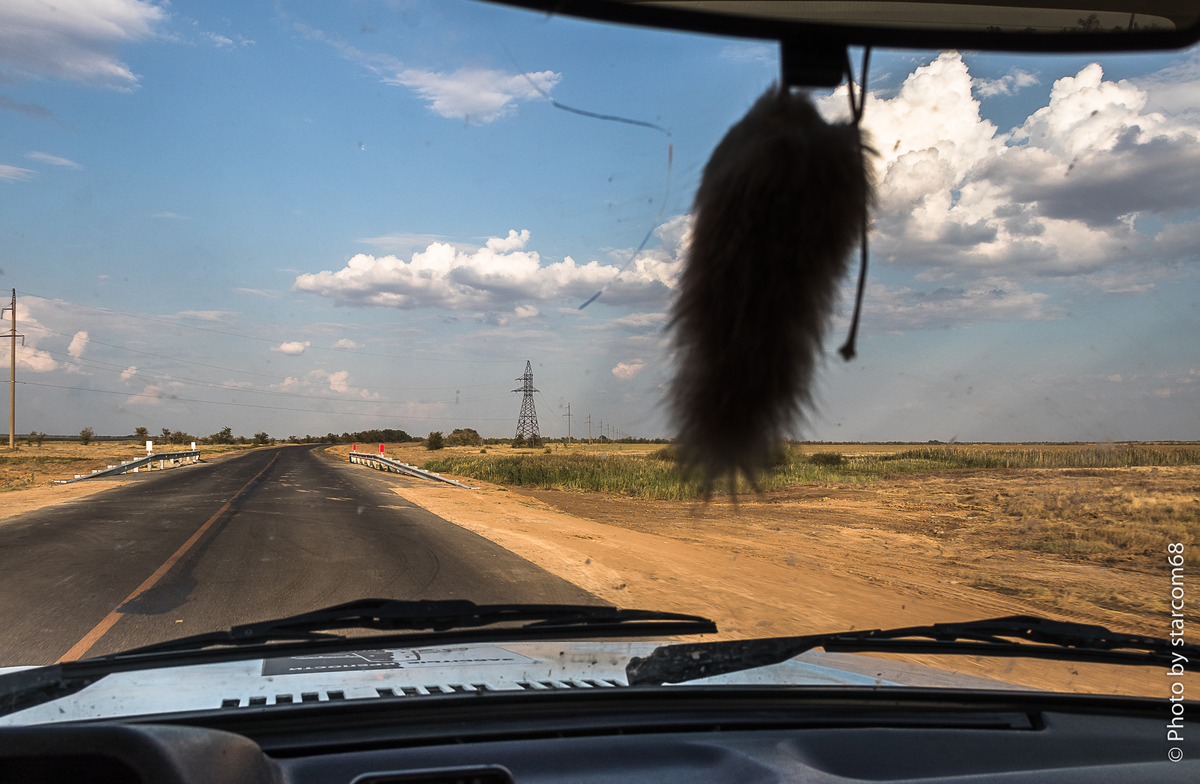 Мои с Белкой дороги где-то в Волгоградской области на левобережьи Волги