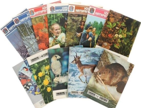 Фото: Яндекс картинки