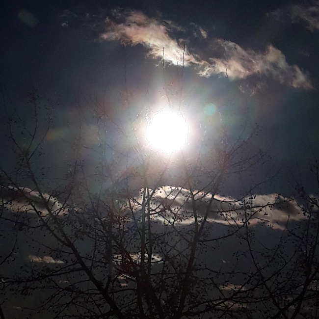 Фото автора канала "Волнушка"