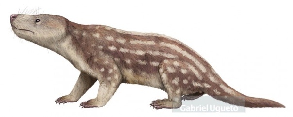 Крикодон. Арт от Габриэля Угуэто.