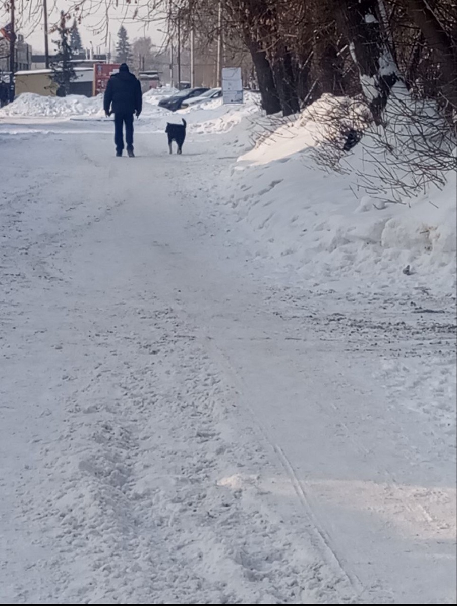Мужик был  с бодуна ( или чего похуже) вид у него был явно нездоровый. Собака , похоже его, следила она за ним с беспокойством. Мне часто встречаются такие, то ли они тоже предпочитают ходить в то время когда основная масса людей не ходит по улицам, но вот встретить во время безлюдья на улице такого больше вероятность, чем во время когда все спешат на работу или с работы..  А может я просто всегда именно таких выцепляю взглядом , не замечая нормальных людей. 