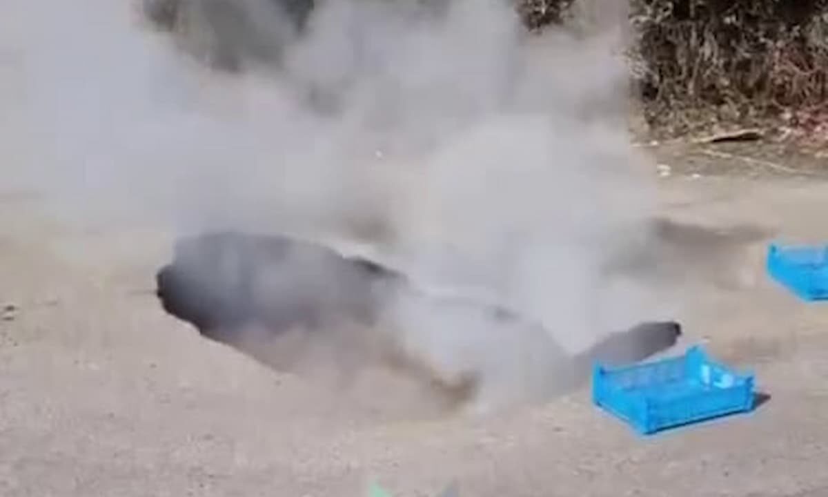    Фото МЦУ Краснодара