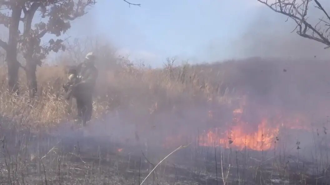    Скриншот видео телеграм-канал губернатора Приморского края Олега Кожемяко
