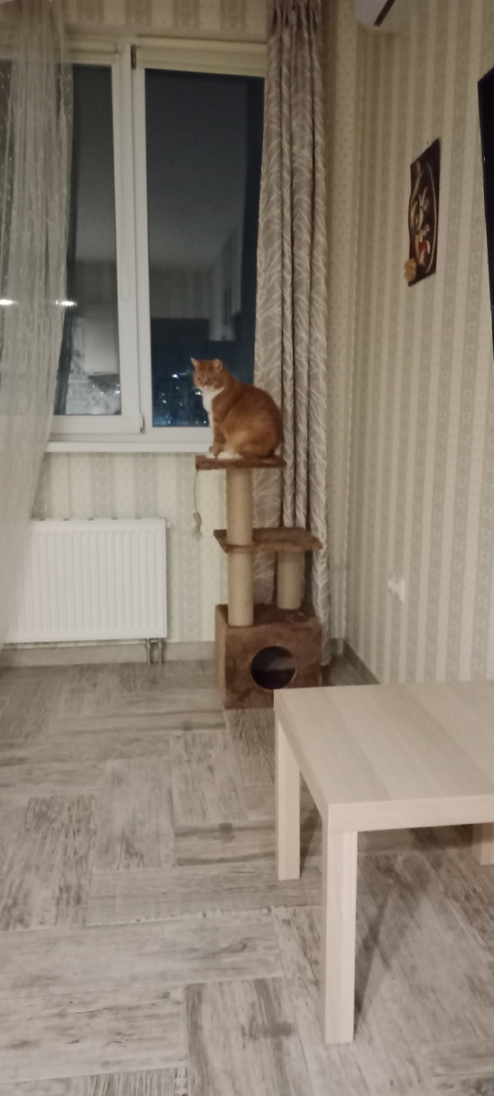 Королева на посту :)