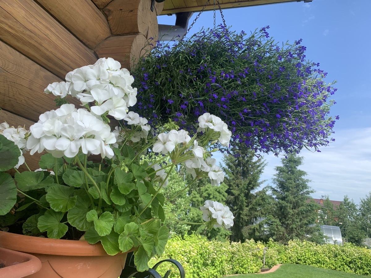 Автор фото: Маргарита Чу