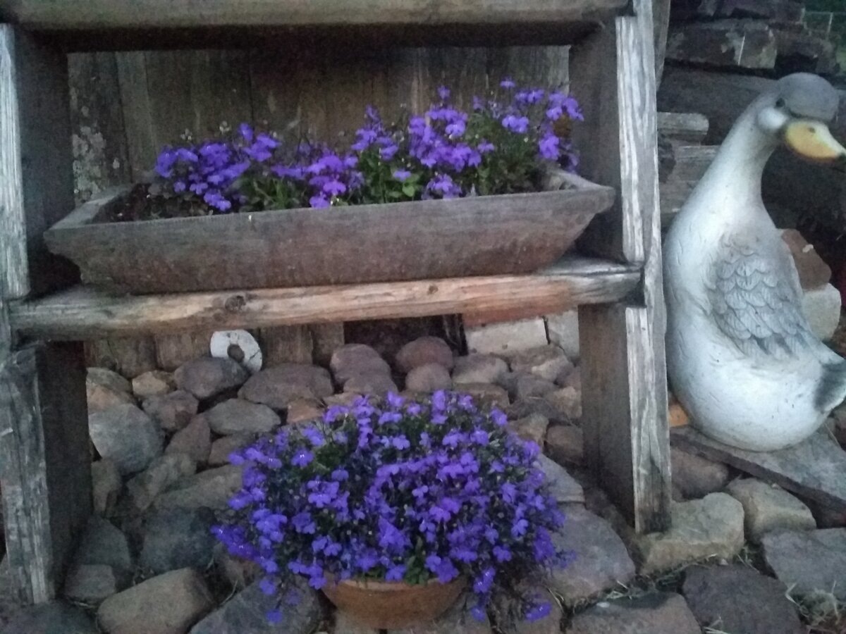 Автор фото: Ольга Д