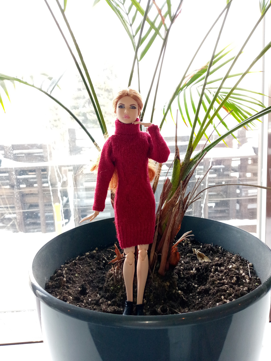 В цветочном горшке)