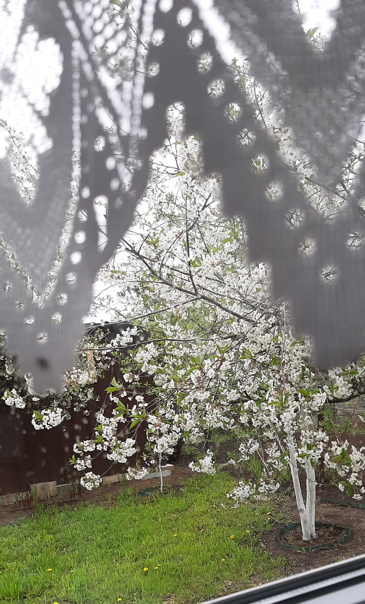 Вид из окна 