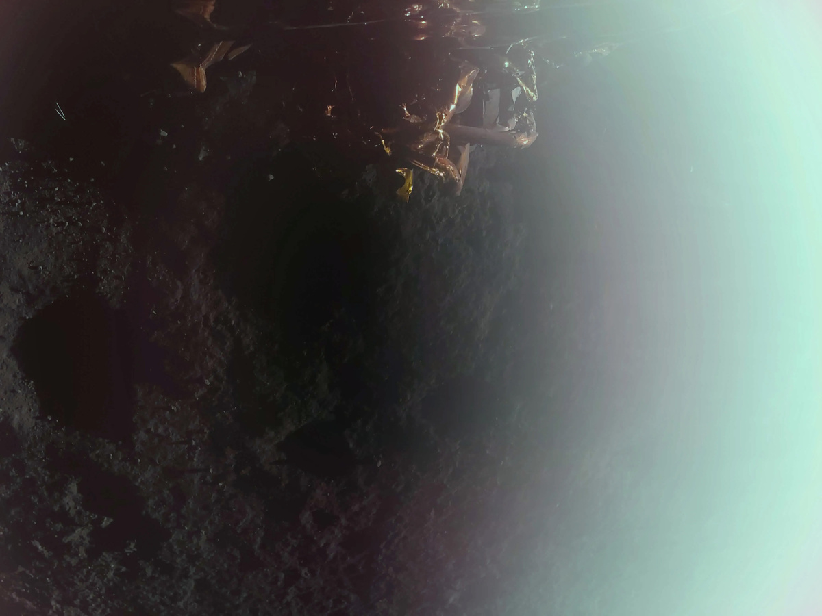    Первое изображение, сделанное аппаратом Blue Ghost на Луне.