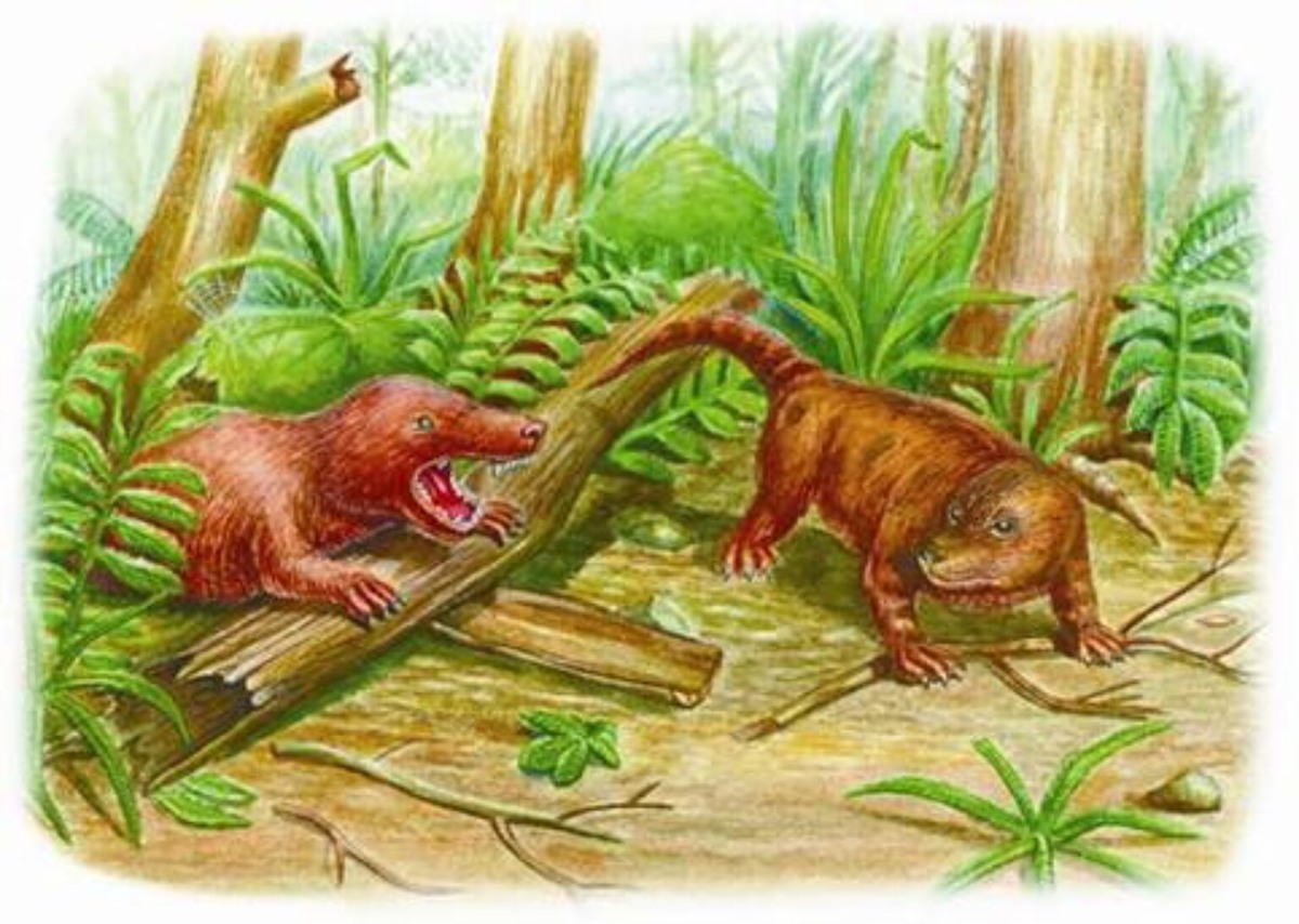 Лангбергия (слева) и тринаксодон (справа).