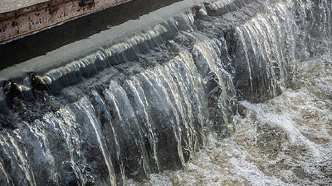    Ilya Moskovets/Globallookpress