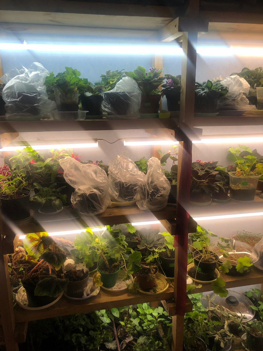 Полочка с подсветкой