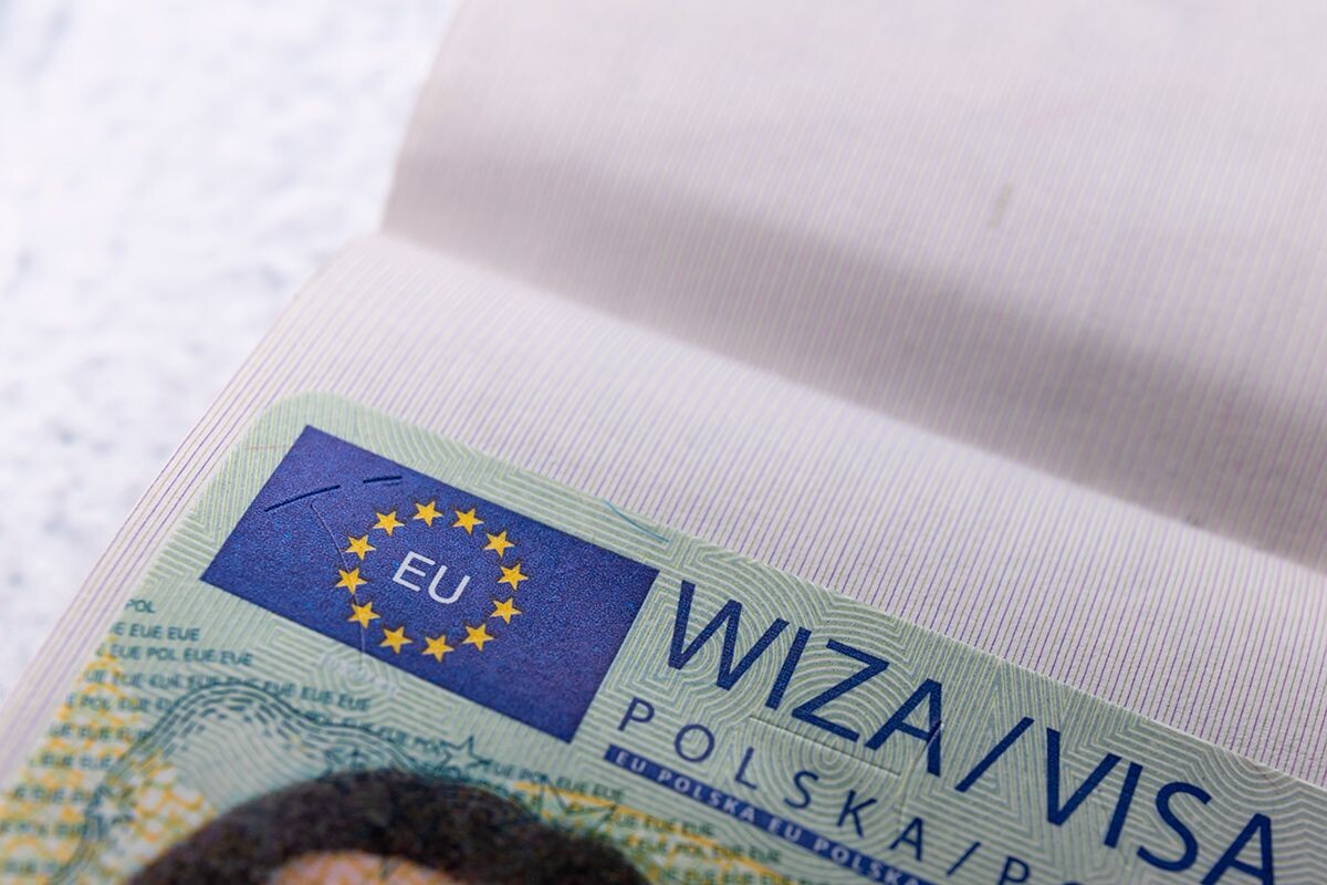    Фото: Riccio da favola / Shutterstock.com