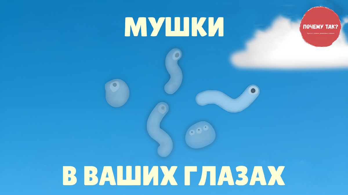 Основано на изображении © TED-Ed