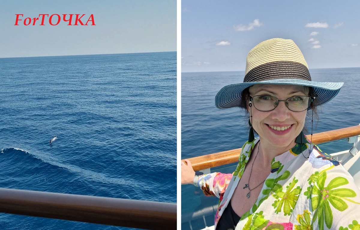 Твое лицо, когда удалось заловить в кадр хотя бы одного дельфина