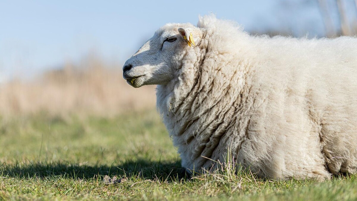 © Unsplash / Glen Michaelsen 