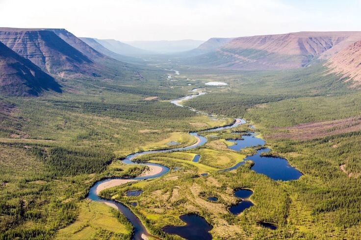 Источник: изображение взято в свободном доступе из интернета (Яндекс.Картинки).