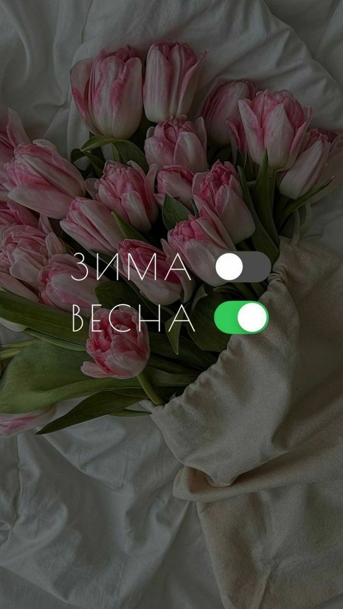 Изображение взято в Pinterest 😉 