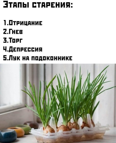 Психология старости 