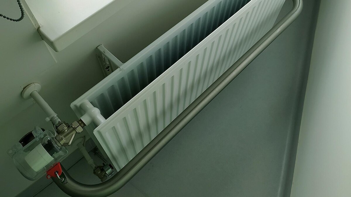    Фото: Victor Lisitsyn/globallookpress.com