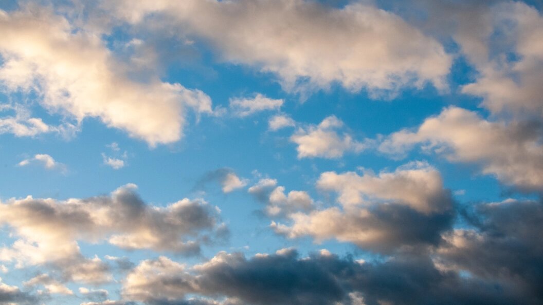    © Svetlana Vozmilova/Globallookpress