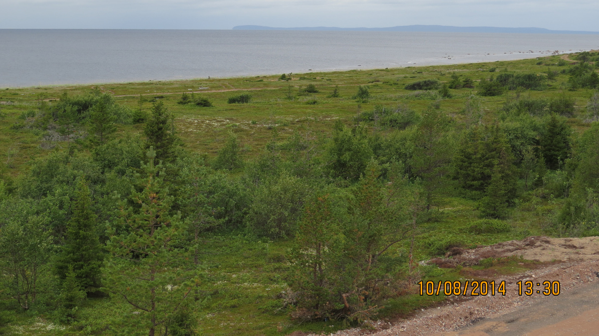 Вдоль берега идёт полевая дорога