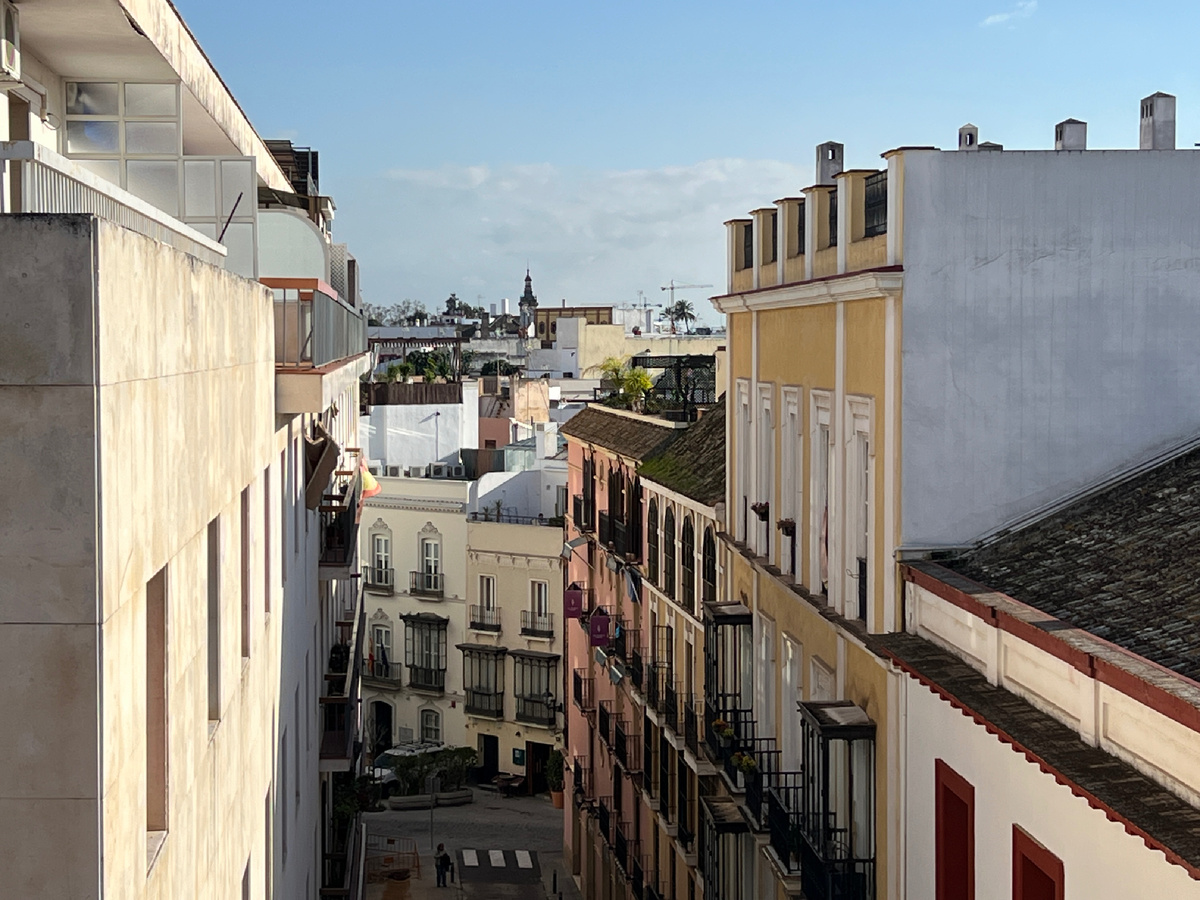 View from the terrace. Seville, Spain. Photo by the author