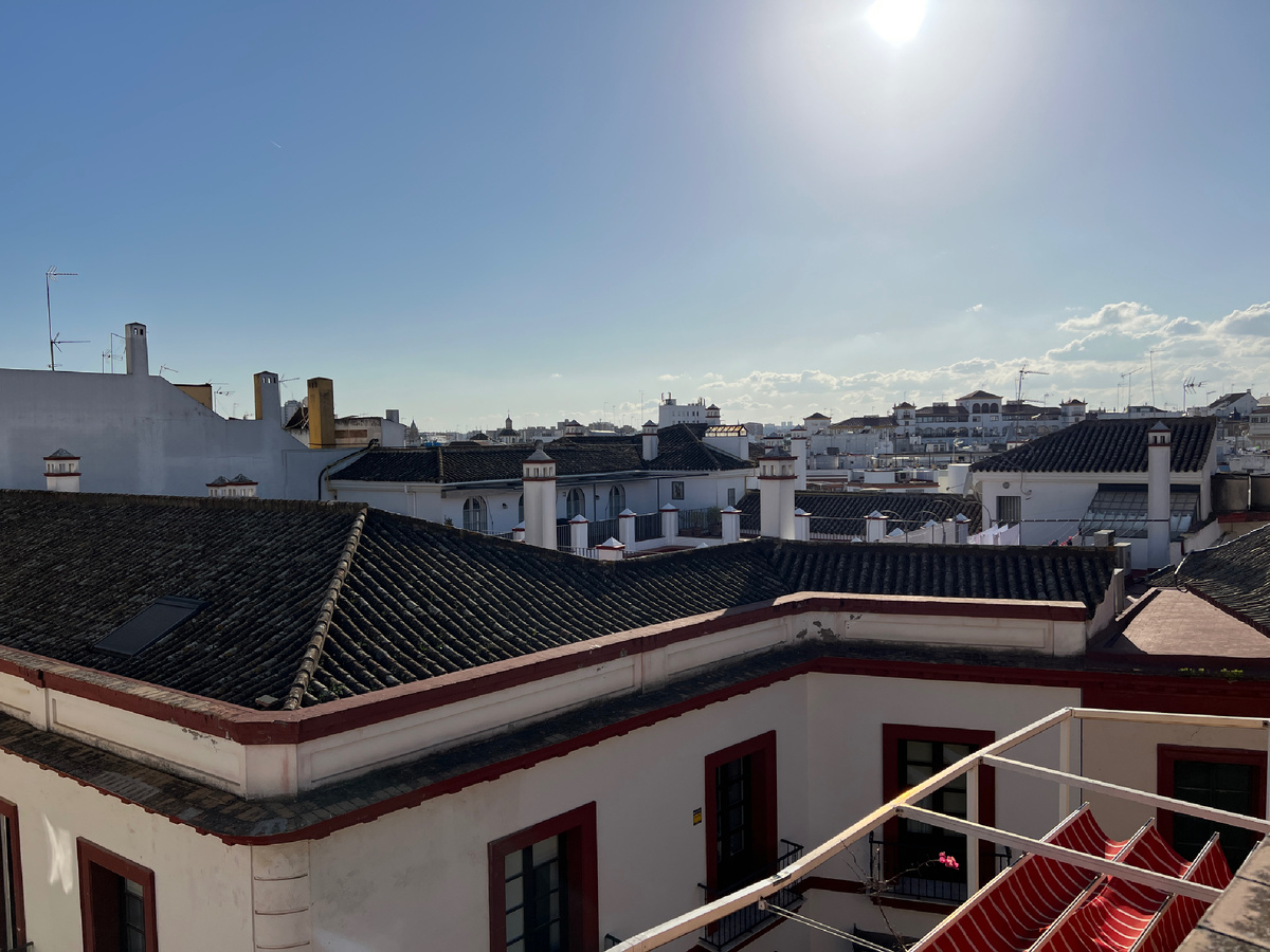 View from the terrace. Seville, Spain. Photo by the author