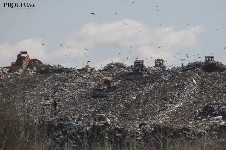    Фото: Пруфы