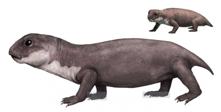 Два миозавра от Габриэля Угуэто.