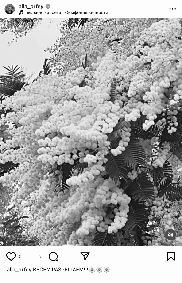 Соцсети Аллы Пугачёвой