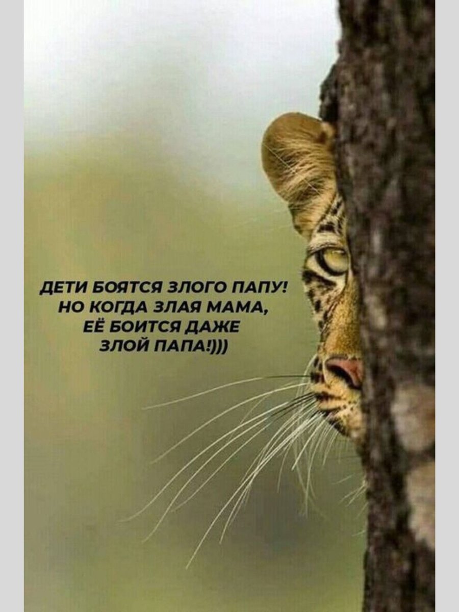 -13