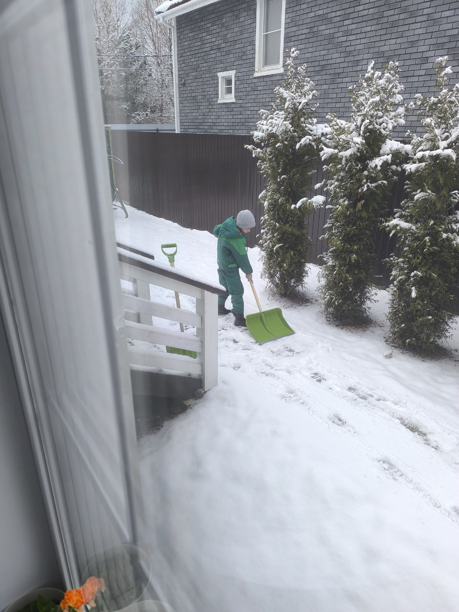 Вау, снег! Очередной урок управления лопатами случился.