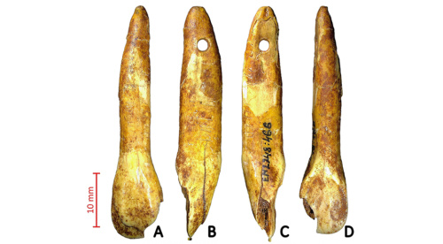 Tomas Rimkus; Adomas Butrimas et al. / Antiquity, 2025