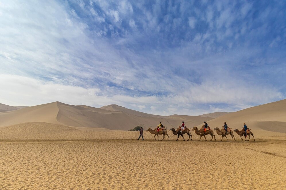 Источник: https://img.freepik.com/free-photo/group-people-camels-desert_181624-59627.jpg?t=st=1741998472~exp=1742002072~hmac=47c50b82bec347442b445404115697adbfbbfe67387271757a2f9ec671871350&w=996