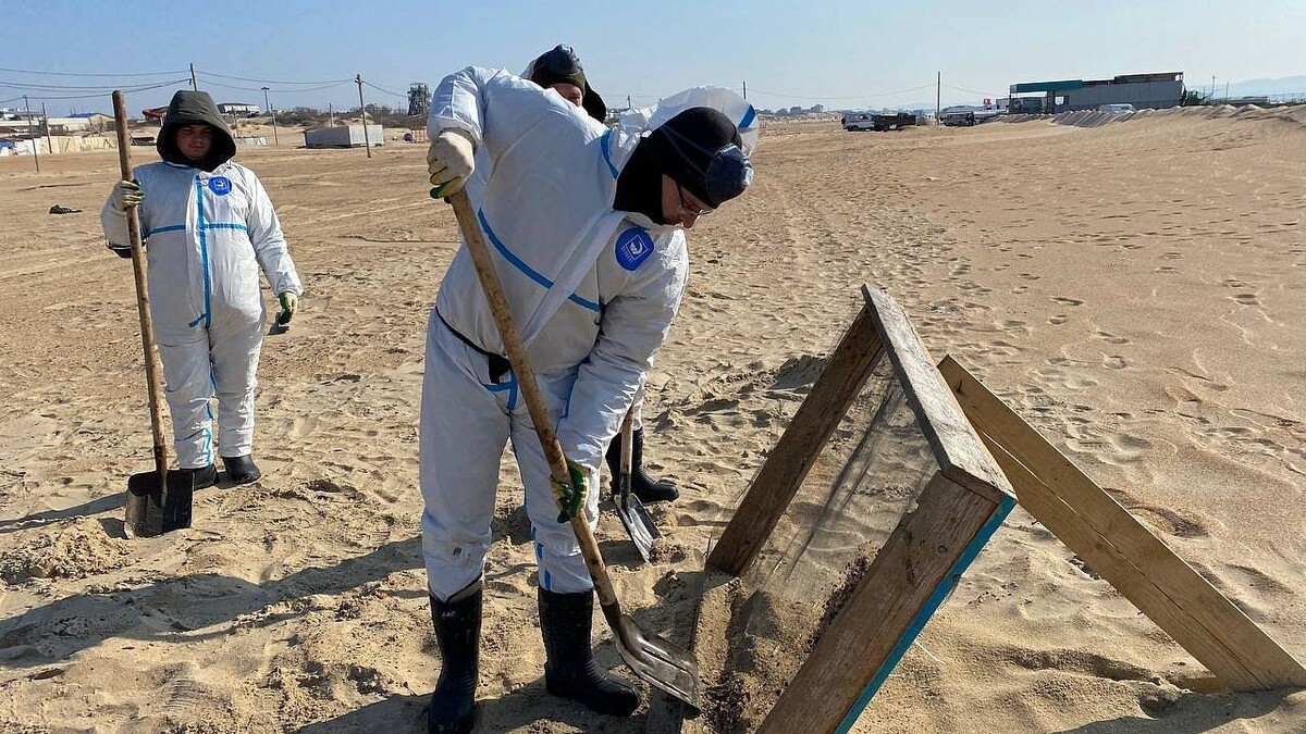    Фото: телеканал «Краснодар»