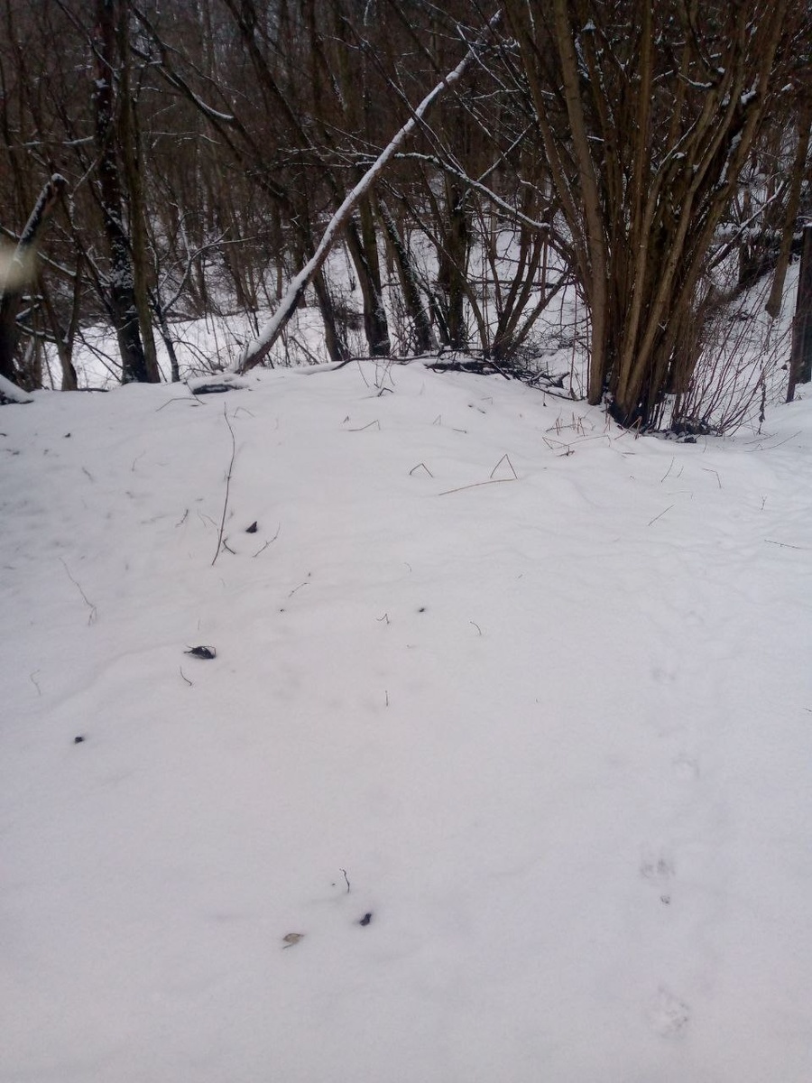 Зима пришла