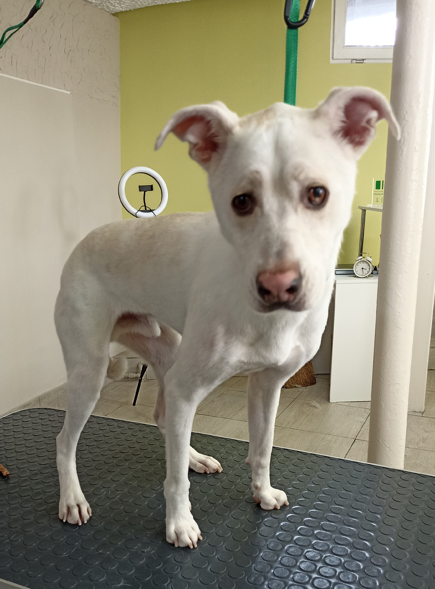 Сегодняшний "страдалец". Стоило лишь достать телефон, чтоб сфотографировать, как сделал кислую мину. 