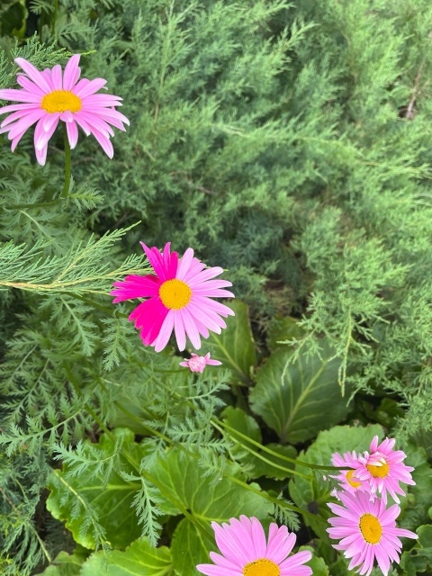 В семье не без ... такого.