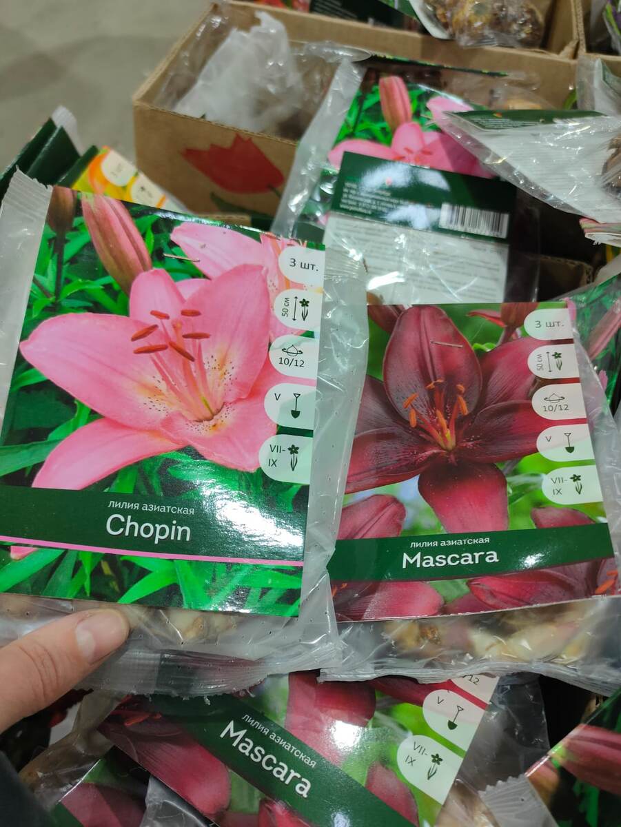 Азиаток было много, цвета разные.