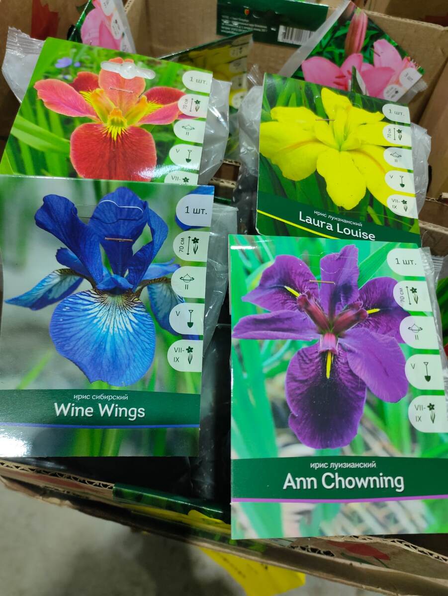 Разнообразие ирисов