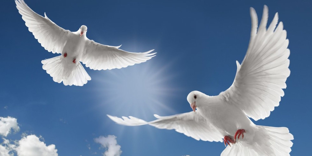 Ни что нас так не согревает, как тепло неравнодушных людей.